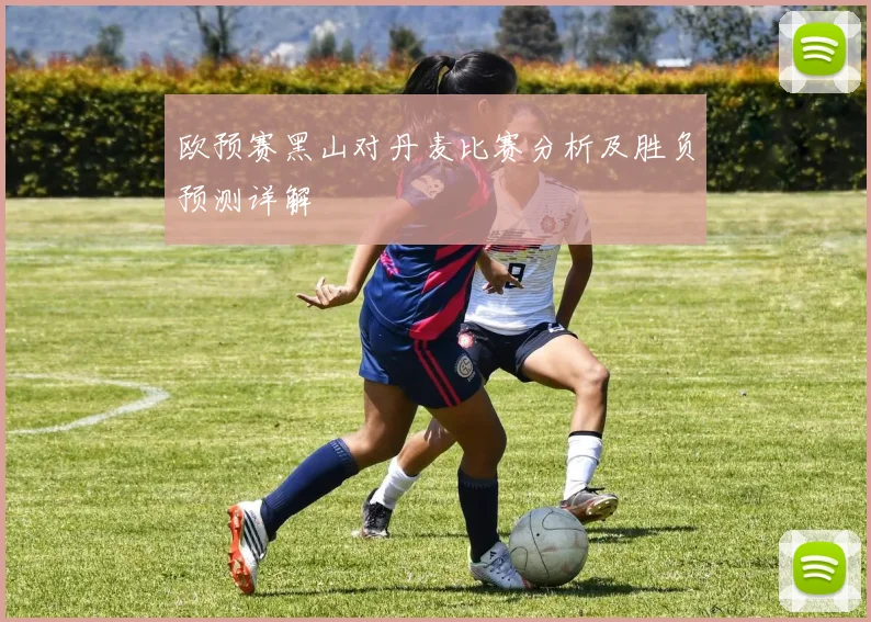 欧预赛黑山对丹麦比赛分析及胜负预测详解