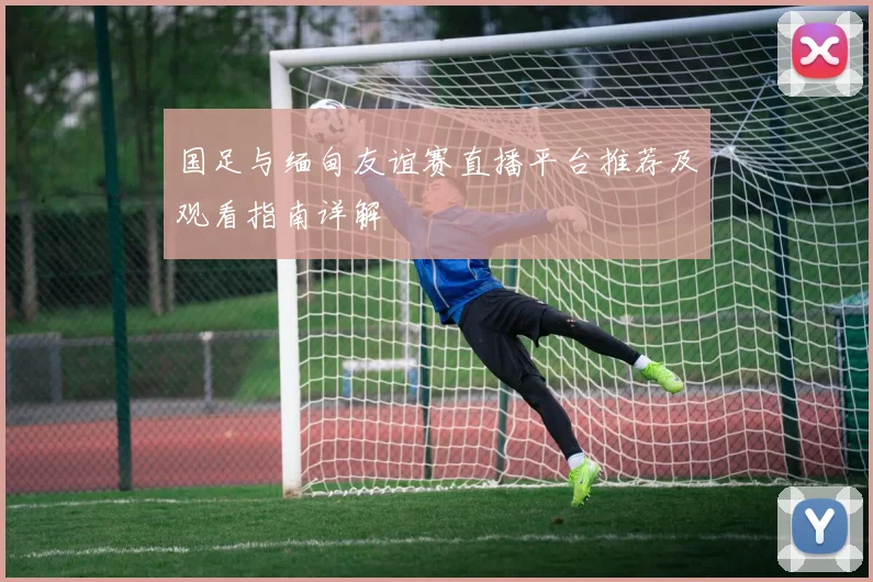 欧冠激战马德里竞技迎战多特蒙德争夺小组出线关键战役