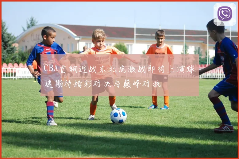 CBA首钢迎战东北虎激战即将上演球迷期待精彩对决与巅峰对抗